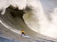 FB赛事直播-从赛道到绿茵场，加克波的F1式接管与马赛对加纳的全面压制启示录